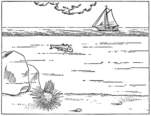 Путешествие в окружающие миры животных и людей. Теория значения - img_18.jpeg