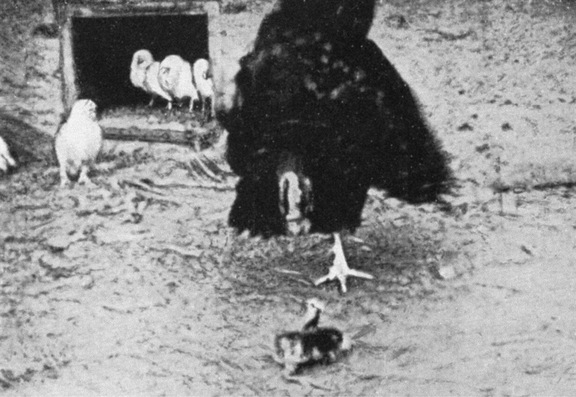 Путешествие в окружающие миры животных и людей. Теория значения - img_27.jpeg