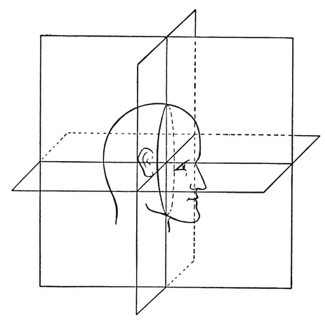 Путешествие в окружающие миры животных и людей. Теория значения - img_4.jpeg