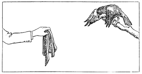 Путешествие в окружающие миры животных и людей. Теория значения - img_41.jpeg