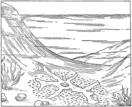 Путешествие в окружающие миры животных и людей. Теория значения - img_7.jpeg
