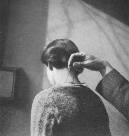 Путешествие в окружающие миры животных и людей. Теория значения - img_8.jpeg