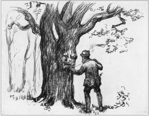 Путешествие в окружающие миры животных и людей. Теория значения - img_54.jpeg