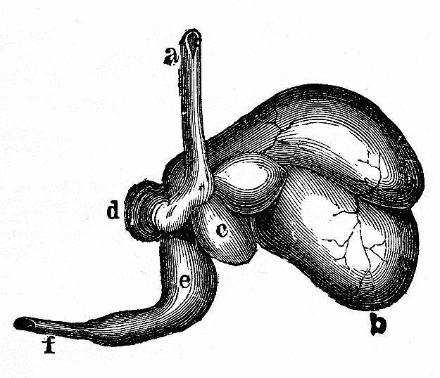 Строитель (СИ) - img_12