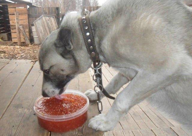 Дорога на Уэлен (СИ) - img_11