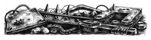 Зеленая заря (СИ) - img_6