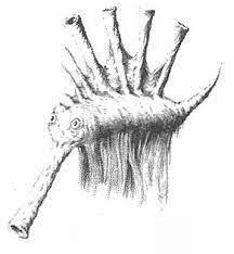 Зеленая заря (СИ) - img_16