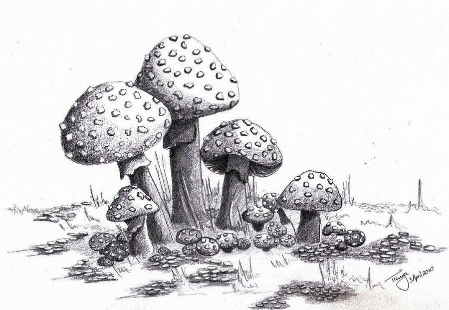 Зеленая заря (СИ) - img_2