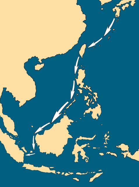 Третий флот (СИ) - img_5