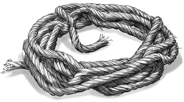 Секрет рапторов - img_12