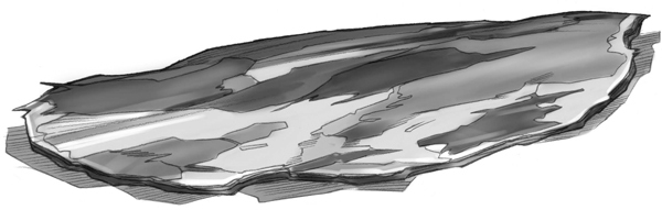 Секрет рапторов - img_34