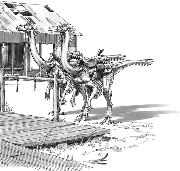 Секрет рапторов - img_11