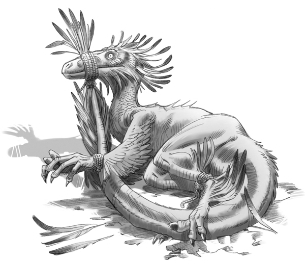 Секрет рапторов - img_13