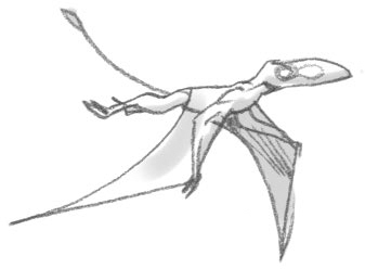 Секрет рапторов - img_15