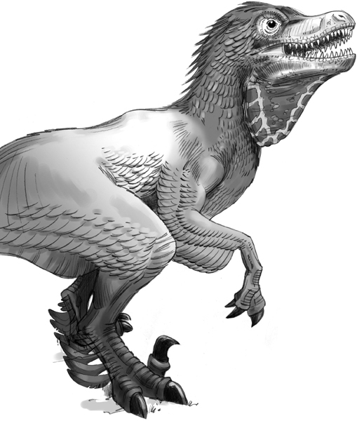 Секрет рапторов - img_30