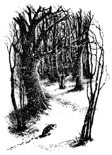 Ивы зимой - i_005.png