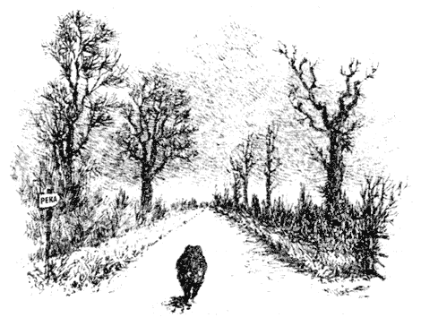 Ивы зимой - i_041.png