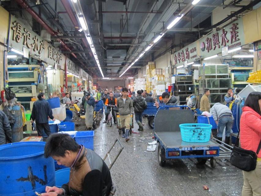 Сад для вороны (СИ) - img_1