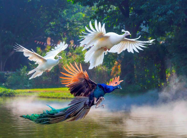 Сад для вороны (СИ) - img_13