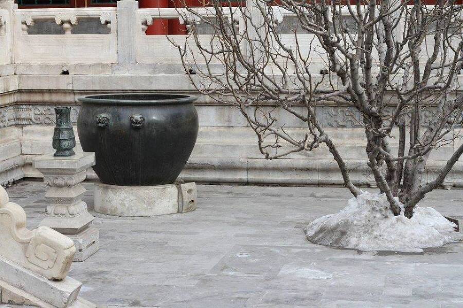 Сад для вороны (СИ) - img_32