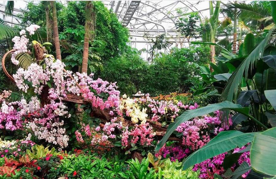 Сад для вороны (СИ) - img_34