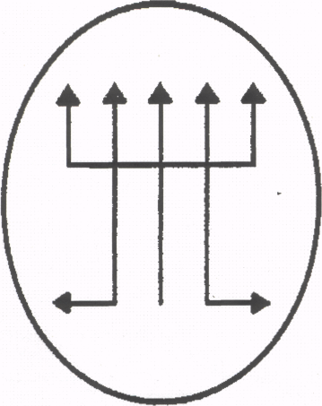 Сокровенные Культы - img_5