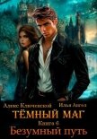 Тёмный маг. Книга 6. Безумный путь - Ангел Илья