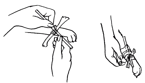 Ветеринарный справочник для владельцев кошек - i_054.png