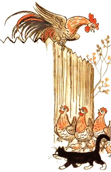 Жила была лягушка (рис. Сутеева) - i_002.png