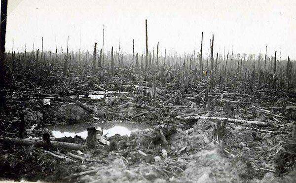 Повторение пройденного (СИ) - img_50