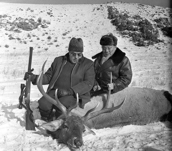 Телохранитель Генсека. Том 2 (СИ) - img_10