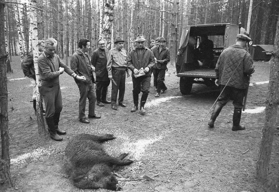 Телохранитель Генсека. Том 2 (СИ) - img_2