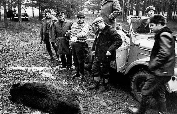 Телохранитель Генсека. Том 2 (СИ) - img_6