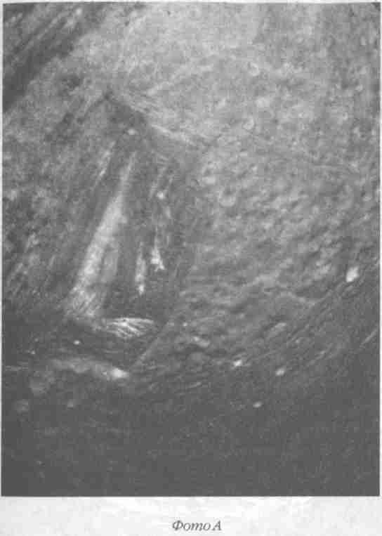 Назад в будущее. Разгадка секретного шифра Книги Бытия - i_004.jpg