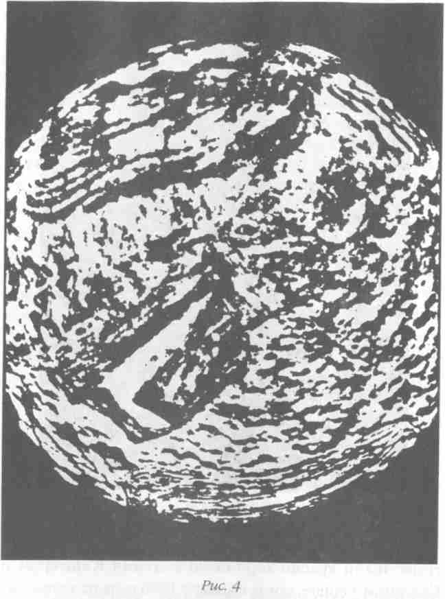 Назад в будущее. Разгадка секретного шифра Книги Бытия - i_005.jpg