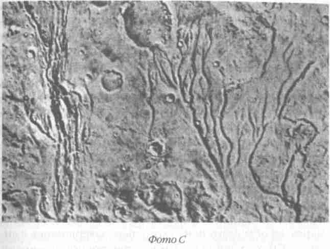 Назад в будущее. Разгадка секретного шифра Книги Бытия - i_020.jpg