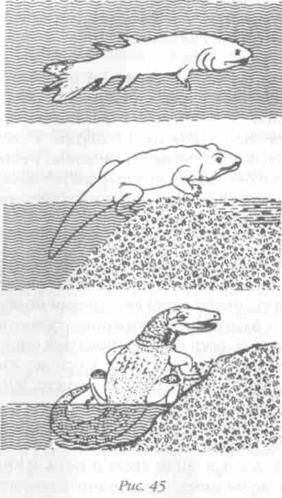 Назад в будущее. Разгадка секретного шифра Книги Бытия - i_051.jpg