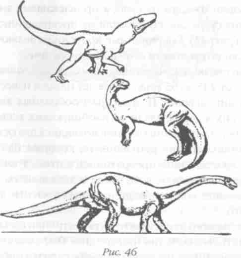 Назад в будущее. Разгадка секретного шифра Книги Бытия - i_052.jpg