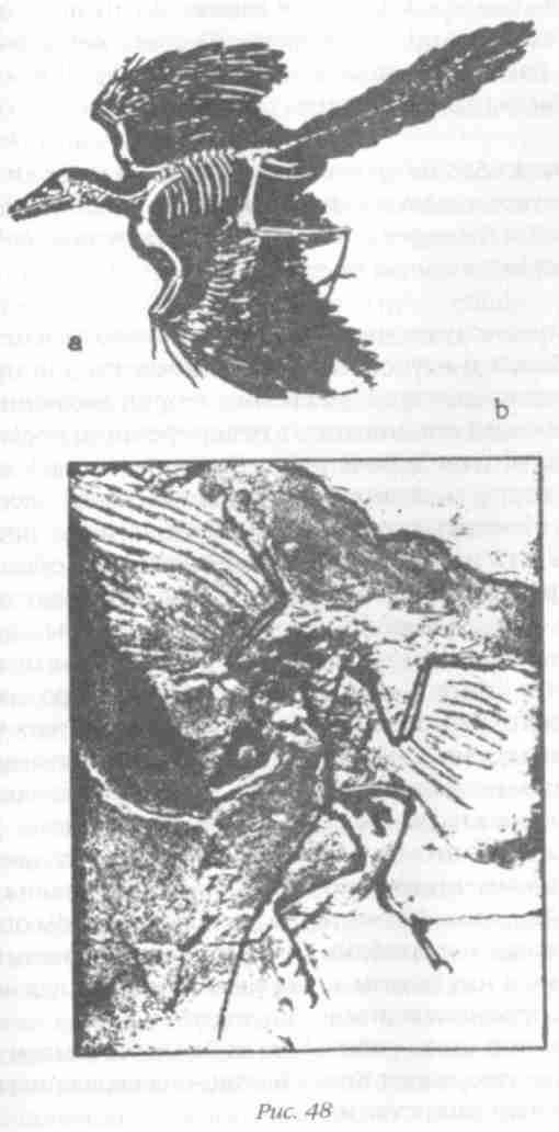 Назад в будущее. Разгадка секретного шифра Книги Бытия - i_054.jpg