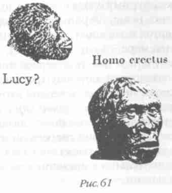 Назад в будущее. Разгадка секретного шифра Книги Бытия - i_066.jpg