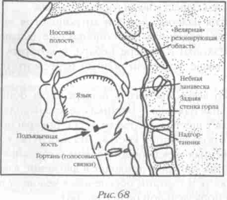 Назад в будущее. Разгадка секретного шифра Книги Бытия - i_073.jpg