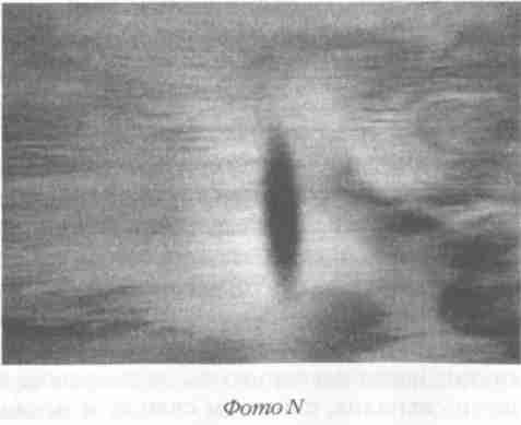 Назад в будущее. Разгадка секретного шифра Книги Бытия - i_110.jpg