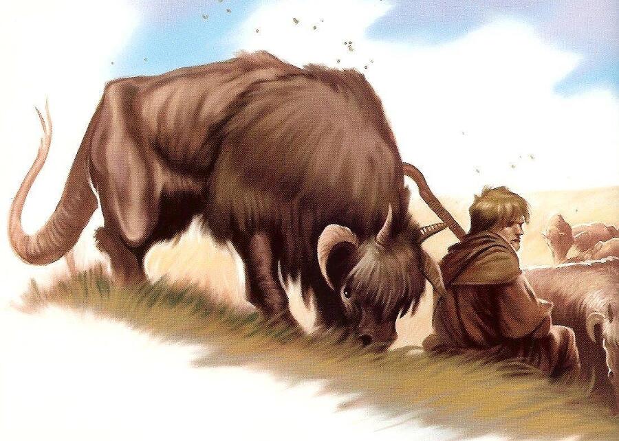 Сила Неделимая (СИ) - img_21