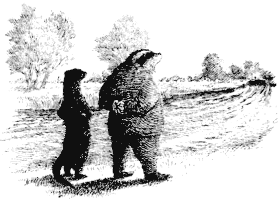 Тоуд-триумфатор - i_054.png