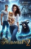 Читать книгу Ведьмы.Ру 2 (СИ), автор Демина Карина Ведьмы.Ру 2 (СИ) - Демина Карина