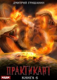 Практикант. Книга 6 - Гришанин Дмитрий