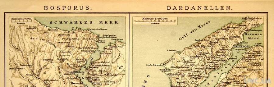 Кровавый год (СИ) - img_1