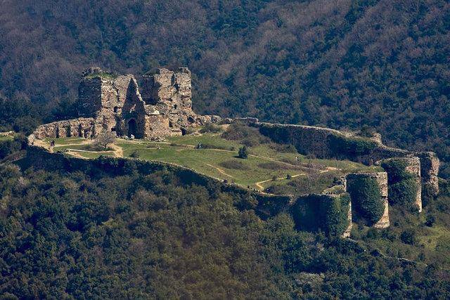 Кровавый год (СИ) - img_2