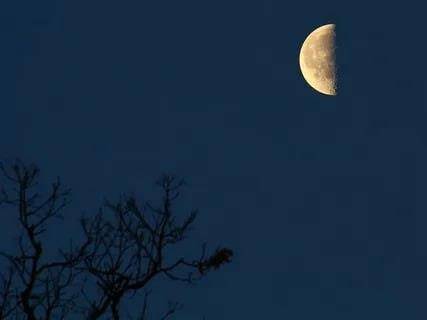 Наследник двух Корон (СИ) - img_51