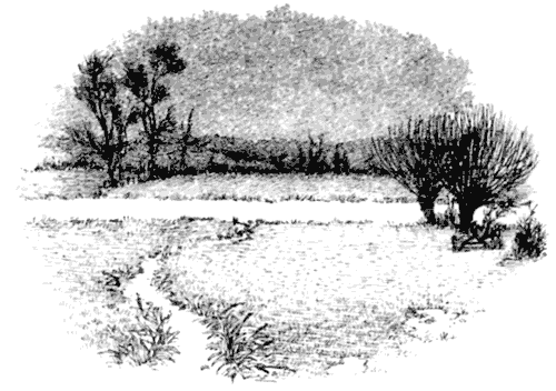 Сказки под ивами - i_043.png